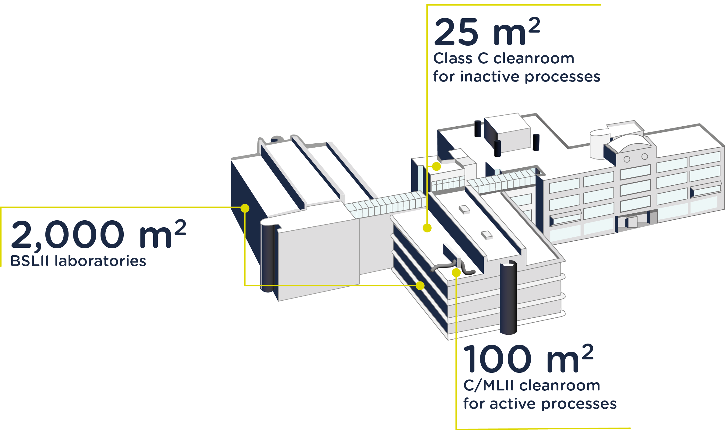 GMP Manufacturing 02